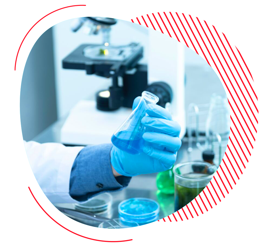 Growing With A Global Creative Community