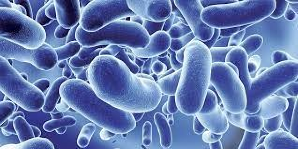 sterilization techniques