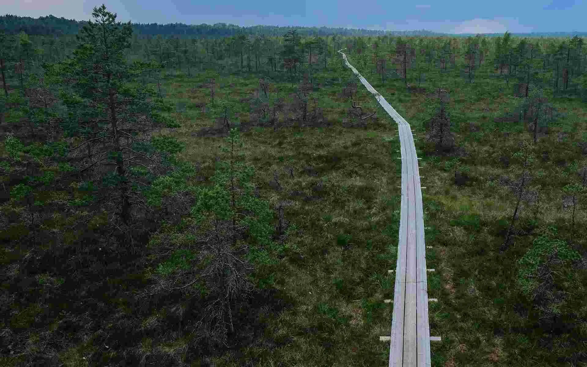 Ecological Landscape